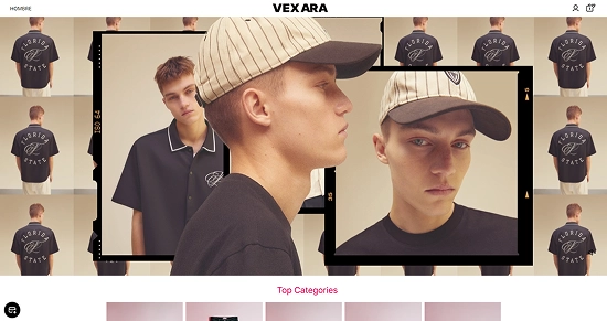 Vexara project cover image